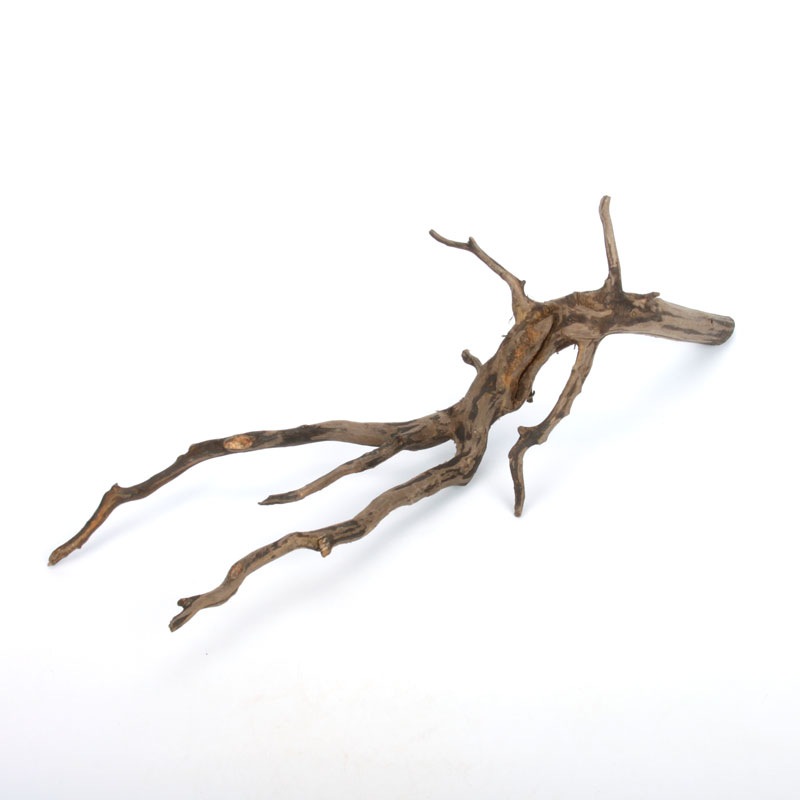 Drift Wood / �ɥ�եȥ��åɡ��� �֥�å� / S / NB2508-03 �� [ �ѥ���ꥦ�ࡢ�����ꥦ��Υ쥤�����Ȥ˺�Ŭ��ή�� ]