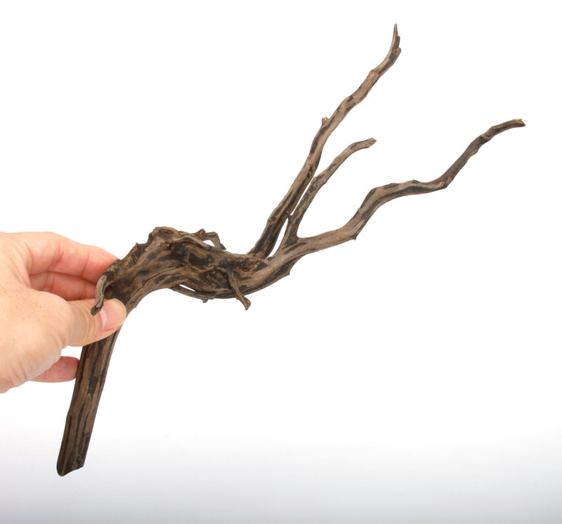 Drift Wood / �ɥ�եȥ��åɡ��� �֥�å� / S / NB2508-03 �� [ �ѥ���ꥦ�ࡢ�����ꥦ��Υ쥤�����Ȥ˺�Ŭ��ή�� ]