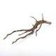 Drift Wood / �ɥ�եȥ��åɡ��� �֥�å� / S / NB2508-03 �� [ �ѥ���ꥦ�ࡢ�����ꥦ��Υ쥤�����Ȥ˺�Ŭ��ή�� ]