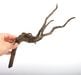 Drift Wood / �ɥ�եȥ��åɡ��� �֥�å� / S / NB2508-03 �� [ �ѥ���ꥦ�ࡢ�����ꥦ��Υ쥤�����Ȥ˺�Ŭ��ή�� ]