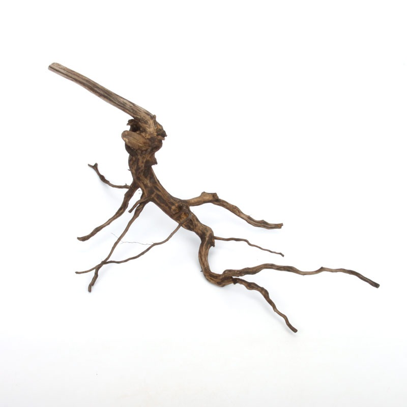 Drift Wood / �ɥ�եȥ��åɡ��� �֥�å� / S / NB2508-06 �� [ �ѥ���ꥦ�ࡢ�����ꥦ��Υ쥤�����Ȥ˺�Ŭ��ή�� ]