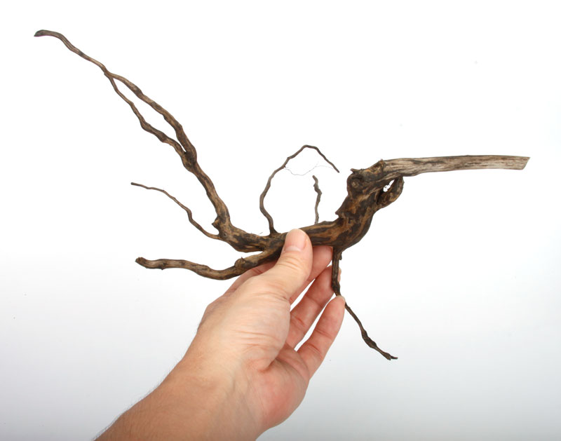 Drift Wood / �ɥ�եȥ��åɡ��� �֥�å� / S / NB2508-06 �� [ �ѥ���ꥦ�ࡢ�����ꥦ��Υ쥤�����Ȥ˺�Ŭ��ή�� ]