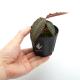 Ardisia sp.��" Perlis, Malaysia "��[ ����ǥ����� sp. " �ץ�ꥹ���ޥ졼���� " ]���� PN180915-05 ��
