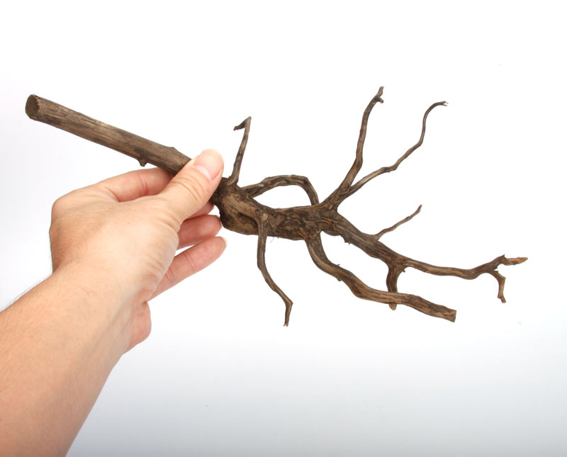 Drift Wood / �ɥ�եȥ��åɡ��� �֥�å� / S / NB2508-07 �� [ �ѥ���ꥦ�ࡢ�����ꥦ��Υ쥤�����Ȥ˺�Ŭ��ή�� ]