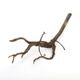 Drift Wood / �ɥ�եȥ��åɡ��� �֥�å� / S / NB2508-07 �� [ �ѥ���ꥦ�ࡢ�����ꥦ��Υ쥤�����Ȥ˺�Ŭ��ή�� ]