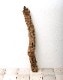 Cork / コルク  【 CW2210-14 】【 最大長：約680mm 】
