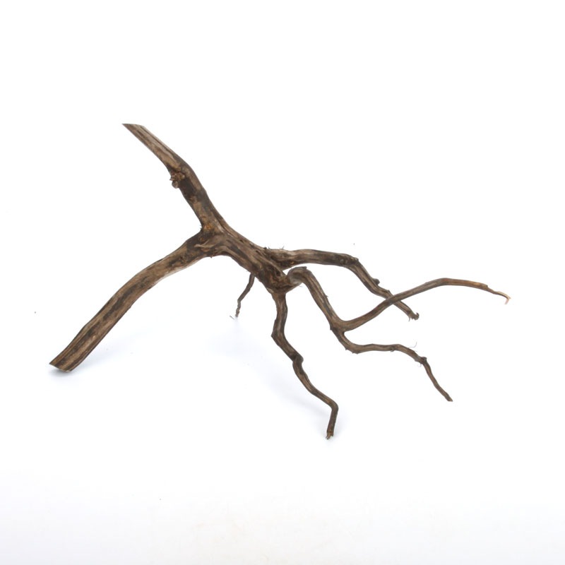 Drift Wood / �ɥ�եȥ��åɡ��� �֥�å� / S / NB2508-10 �� [ �ѥ���ꥦ�ࡢ�����ꥦ��Υ쥤�����Ȥ˺�Ŭ��ή�� ]