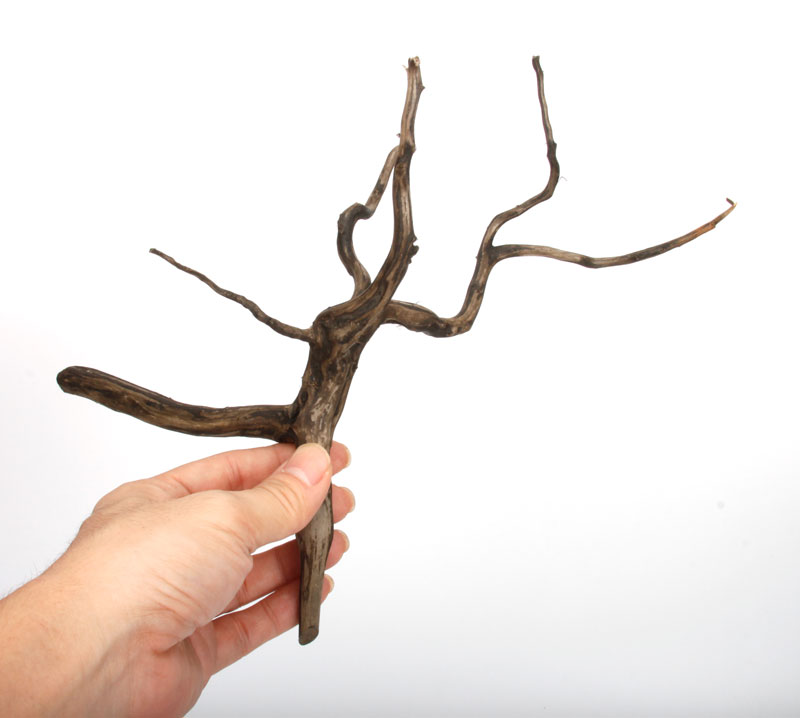 Drift Wood / �ɥ�եȥ��åɡ��� �֥�å� / S / NB2508-10 �� [ �ѥ���ꥦ�ࡢ�����ꥦ��Υ쥤�����Ȥ˺�Ŭ��ή�� ]