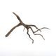 Drift Wood / �ɥ�եȥ��åɡ��� �֥�å� / S / NB2508-10 �� [ �ѥ���ꥦ�ࡢ�����ꥦ��Υ쥤�����Ȥ˺�Ŭ��ή�� ]