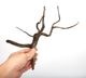Drift Wood / �ɥ�եȥ��åɡ��� �֥�å� / S / NB2508-10 �� [ �ѥ���ꥦ�ࡢ�����ꥦ��Υ쥤�����Ȥ˺�Ŭ��ή�� ]