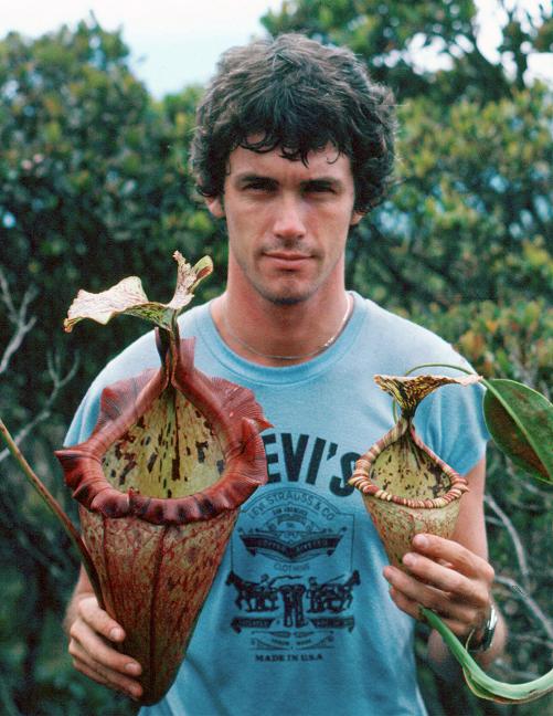Nepenthes rajah x burbidgeae��( N. x ' alisputrana ' ) [ �ͥڥ�ƥ����饸�� x �С��ӥå����� (N. ���ꥵ�ץȥ�� ) ]���� Borneo Exotics / BE-3865 �ۡ� PN200205-02 ��