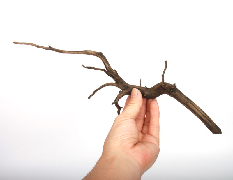 Drift Wood / �ɥ�եȥ��åɡ��� �֥�å� / S / NB2508-13 �� [ �ѥ���ꥦ�ࡢ�����ꥦ��Υ쥤�����Ȥ˺�Ŭ��ή�� ]