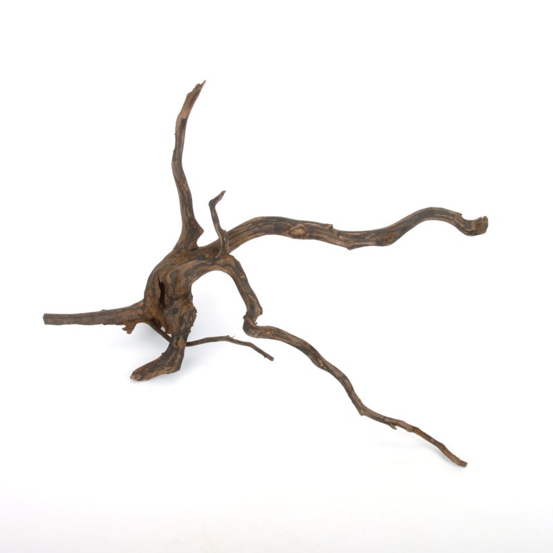 Drift Wood / �ɥ�եȥ��åɡ��� �֥�å� / S / NB2508-14 �� [ �ѥ���ꥦ�ࡢ�����ꥦ��Υ쥤�����Ȥ˺�Ŭ��ή�� ]
