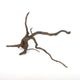 Drift Wood / �ɥ�եȥ��åɡ��� �֥�å� / S / NB2508-14 �� [ �ѥ���ꥦ�ࡢ�����ꥦ��Υ쥤�����Ȥ˺�Ŭ��ή�� ]