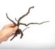 Drift Wood / �ɥ�եȥ��åɡ��� �֥�å� / S / NB2508-14 �� [ �ѥ���ꥦ�ࡢ�����ꥦ��Υ쥤�����Ȥ˺�Ŭ��ή�� ]