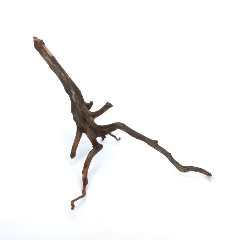 Drift Wood / �ɥ�եȥ��åɡ��� �֥�å� / S / NB2508-16 �� [ �ѥ���ꥦ�ࡢ�����ꥦ��Υ쥤�����Ȥ˺�Ŭ��ή�� ]