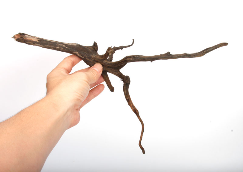 Drift Wood / �ɥ�եȥ��åɡ��� �֥�å� / S / NB2508-16 �� [ �ѥ���ꥦ�ࡢ�����ꥦ��Υ쥤�����Ȥ˺�Ŭ��ή�� ]