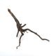 Drift Wood / �ɥ�եȥ��åɡ��� �֥�å� / S / NB2508-16 �� [ �ѥ���ꥦ�ࡢ�����ꥦ��Υ쥤�����Ȥ˺�Ŭ��ή�� ]
