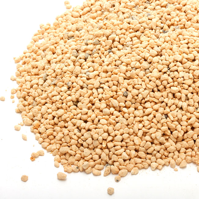 �����ڡ�[ S ]