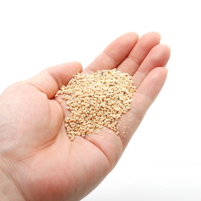 �����ڡ�[ S ]