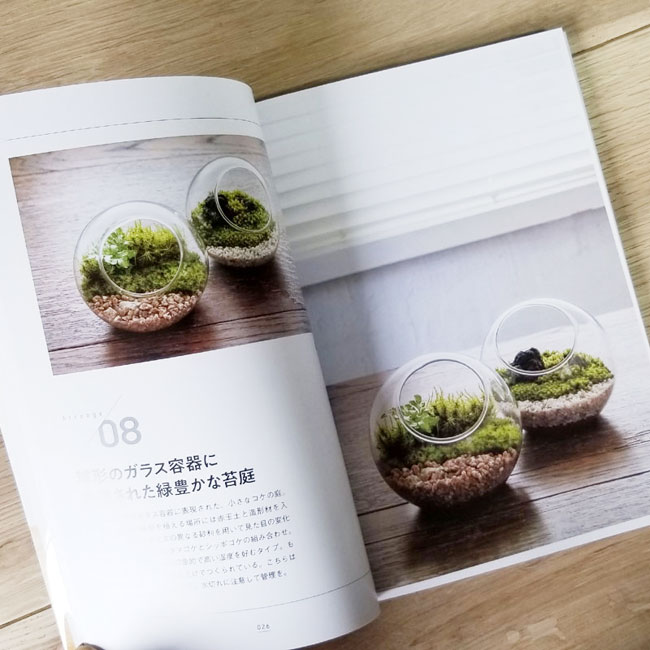 �����ꥦ�ࡡ�����ǤĤ���Ϥ���ƤΥƥ�ꥦ��