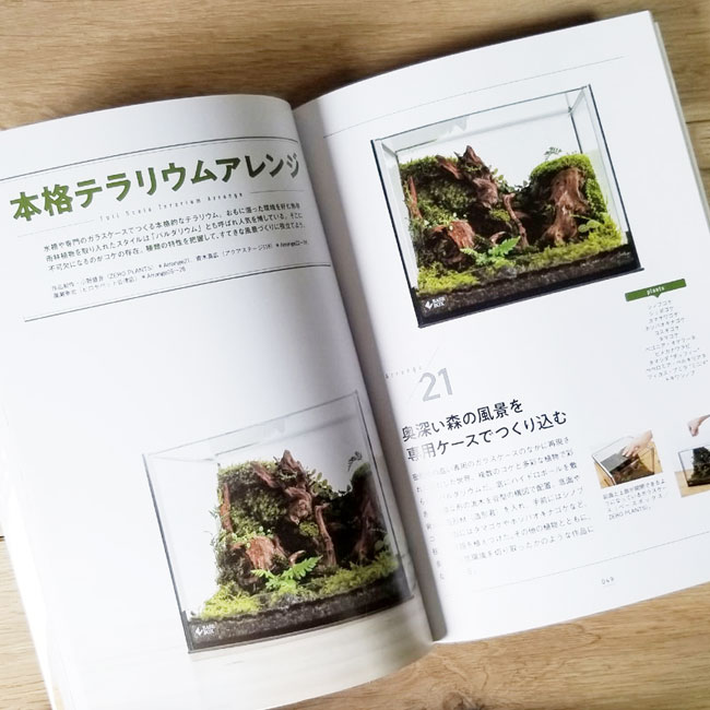 �����ꥦ�ࡡ�����ǤĤ���Ϥ���ƤΥƥ�ꥦ��