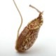 Nepenthes spectabilis (Gunung Bandahara, Sumatra)��[ �ͥڥ�ƥ������ڥ����ӥꥹ ]���� PN200106-14 ��