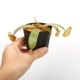 Nepenthes ampullaria " Red " ��[ �ͥڥ�ƥ�������ץ�ꥢ ]���� PN241012-04 ��