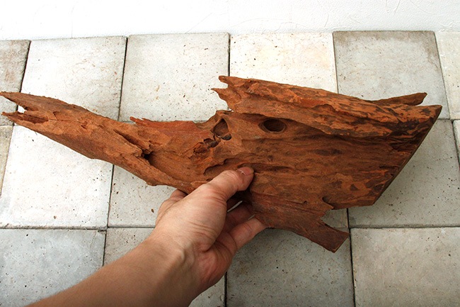 UWS Material Market / Sulawesi Wood���� ���饦�������å� / ����ή�� �� �� SW2209-58 ��
