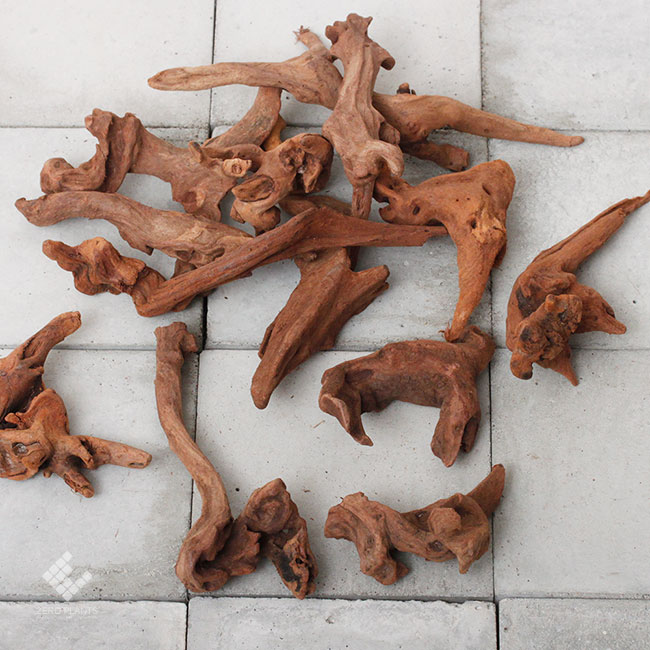 Drift Wood / �ɥ�եȥ��å� �� �ޥ󥰥����� / SSS / 1�� �� [ �ѥ���ꥦ�ࡢ�����ꥦ��Υ쥤�����Ȥ˺�Ŭ��ή�� ]