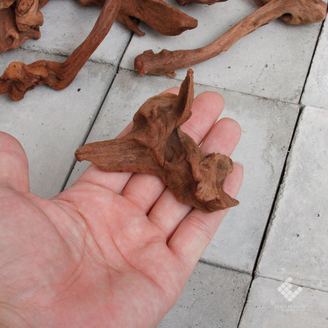 Drift Wood / �ɥ�եȥ��å� �� �ޥ󥰥����� / SSS / 1�� �� [ �ѥ���ꥦ�ࡢ�����ꥦ��Υ쥤�����Ȥ˺�Ŭ��ή�� ]