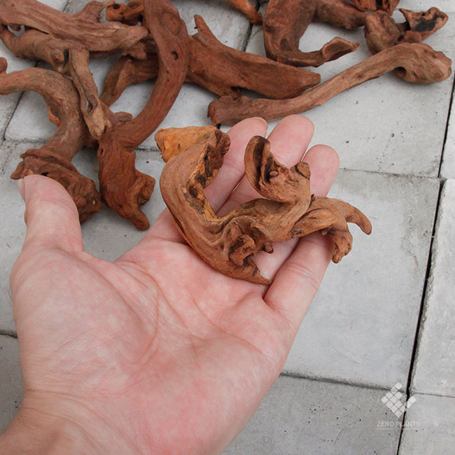 Drift Wood / �ɥ�եȥ��å� �� �ޥ󥰥����� / SSS / 1�� �� [ �ѥ���ꥦ�ࡢ�����ꥦ��Υ쥤�����Ȥ˺�Ŭ��ή�� ]