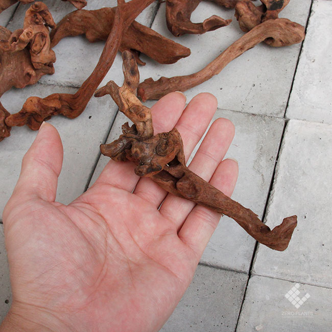 Drift Wood / �ɥ�եȥ��å� �� �ޥ󥰥����� / SSS / 1�� �� [ �ѥ���ꥦ�ࡢ�����ꥦ��Υ쥤�����Ȥ˺�Ŭ��ή�� ]