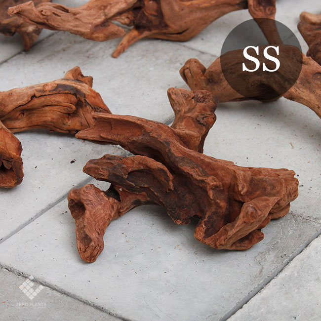 Drift Wood / �ɥ�եȥ��å� �� �ޥ󥰥����� / SS / 3�� �� [ �ѥ���ꥦ�ࡢ�����ꥦ��Υ쥤�����Ȥ˺�Ŭ��ή�� ]