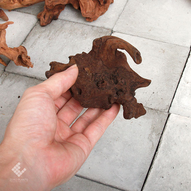 Drift Wood / �ɥ�եȥ��å� �� �ޥ󥰥����� / SS / 3�� �� [ �ѥ���ꥦ�ࡢ�����ꥦ��Υ쥤�����Ȥ˺�Ŭ��ή�� ]