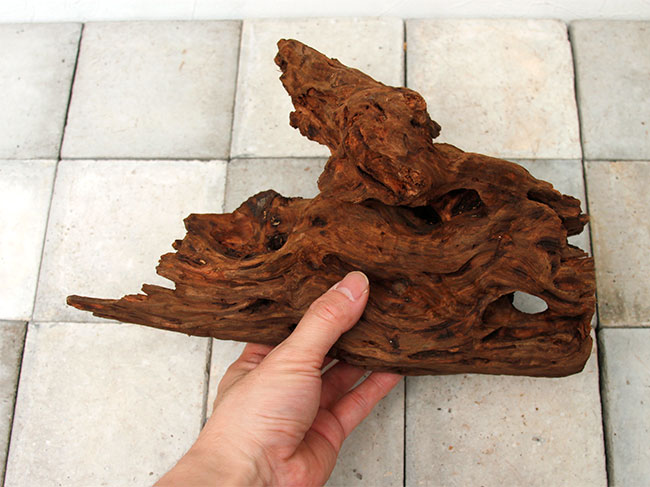 UWS Material Market / Sulawesi Wood���� ���饦�������å� / ����ή�� �� �� SW2303-30 ��