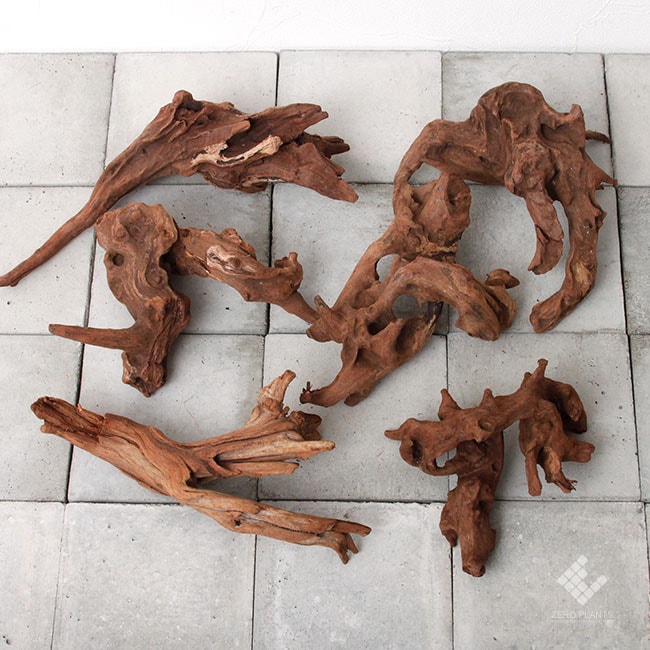 Drift Wood / �ɥ�եȥ��å� �� �ޥ󥰥����� / S / A������(��) / 1�� �� [ �ѥ���ꥦ�ࡢ�����ꥦ��Υ쥤�����Ȥ˺�Ŭ��ή�� ]