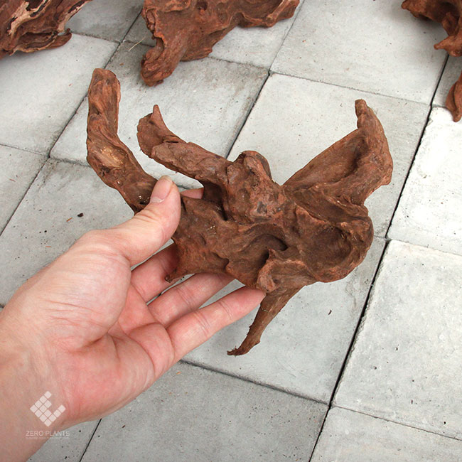 Drift Wood / �ɥ�եȥ��å� �� �ޥ󥰥����� / S / A������(��) / 1�� �� [ �ѥ���ꥦ�ࡢ�����ꥦ��Υ쥤�����Ȥ˺�Ŭ��ή�� ]