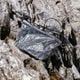 Hiker Pouch SUL with Dyneema