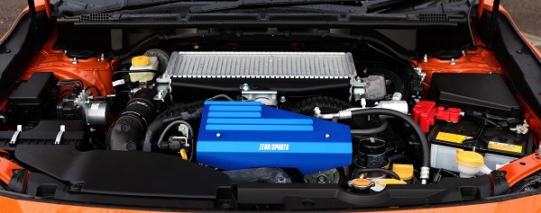 �٥�ȥץ��ƥ����� �֥롼��ǥ� VBH��VNH