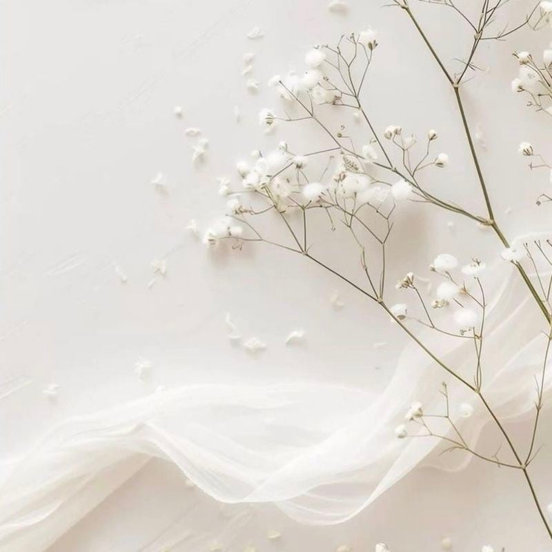 T様専用カートの写真