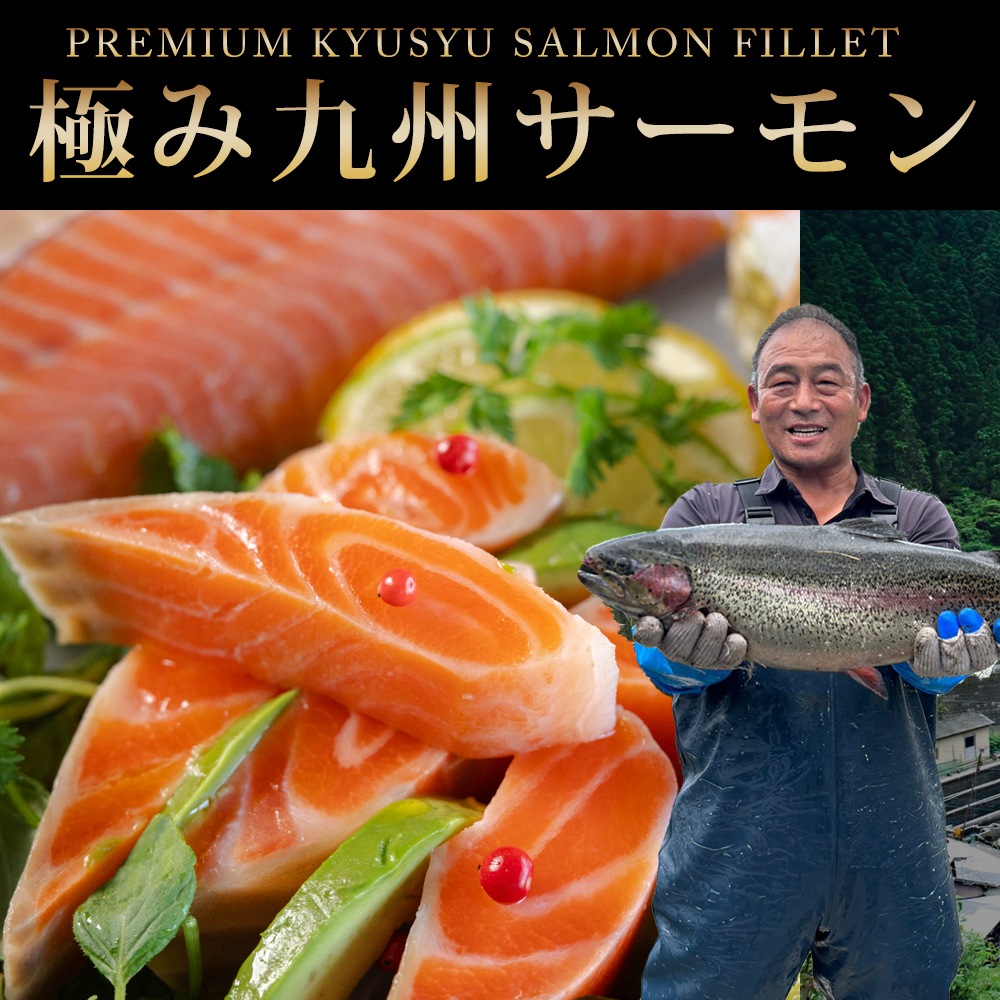 【清広】極み鯖（しめさば）＆極み九州サーモン（しめ鮭） 2枚セット 化粧箱入