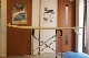 YU SURF CLASSIC Surfboards 7'2" ( 218cm ) / Single Fin( 󥰥ե ) /  RU (  ) / 