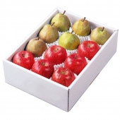 �顦�ե�󥹡�����դ���󤴡��ͤ��碌