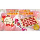 ��ͽ���������������ۻ������������������ܡ���ƣ��24γ�������͡������