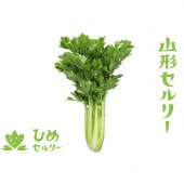 �ڽպ�ۻ�������꡼(�Ҥ᥻��꡼)������