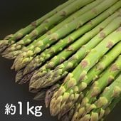 �������������ѥ饬��(L������)��1kg