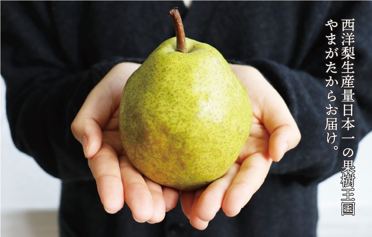 �顦�ե�󥹡���2kg