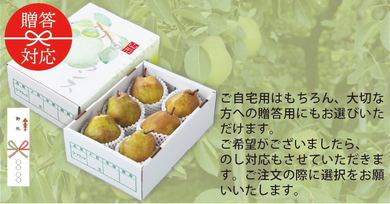 �顦�ե�󥹡���2kg