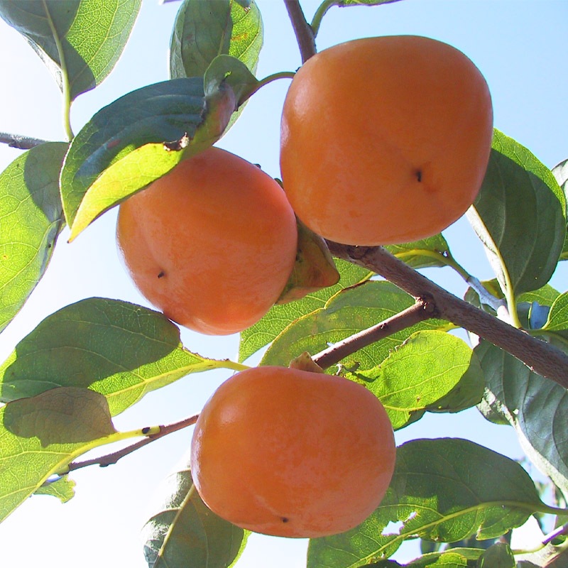 �ڿ��̸�������۾����������